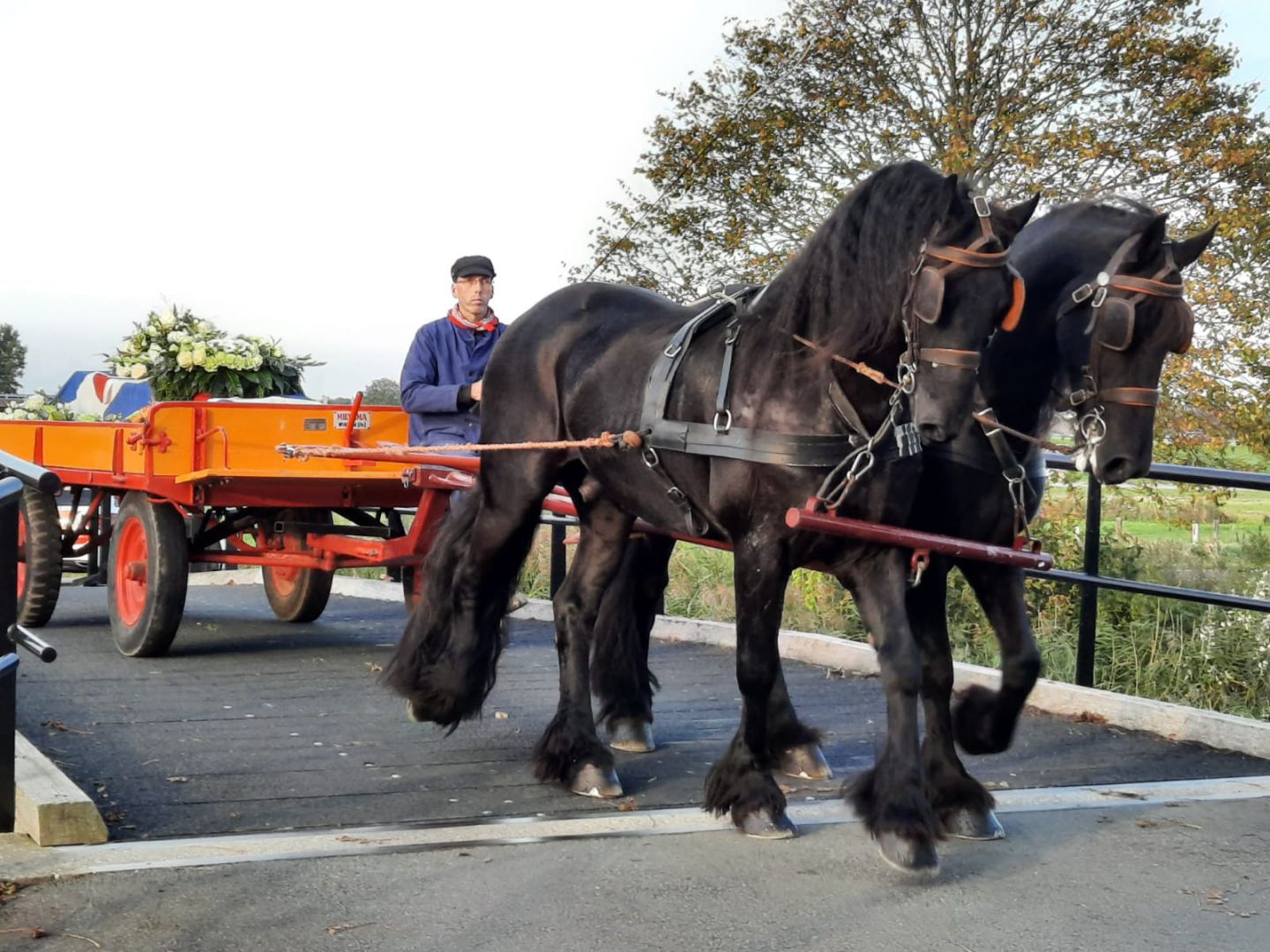 Miedemawagen